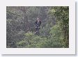 Arenal - 44 * Canopy zipline tour during a monsoon at Rancho Arenal Paraiso * Canopy zipline tour during a monsoon at Rancho Arenal Paraiso
